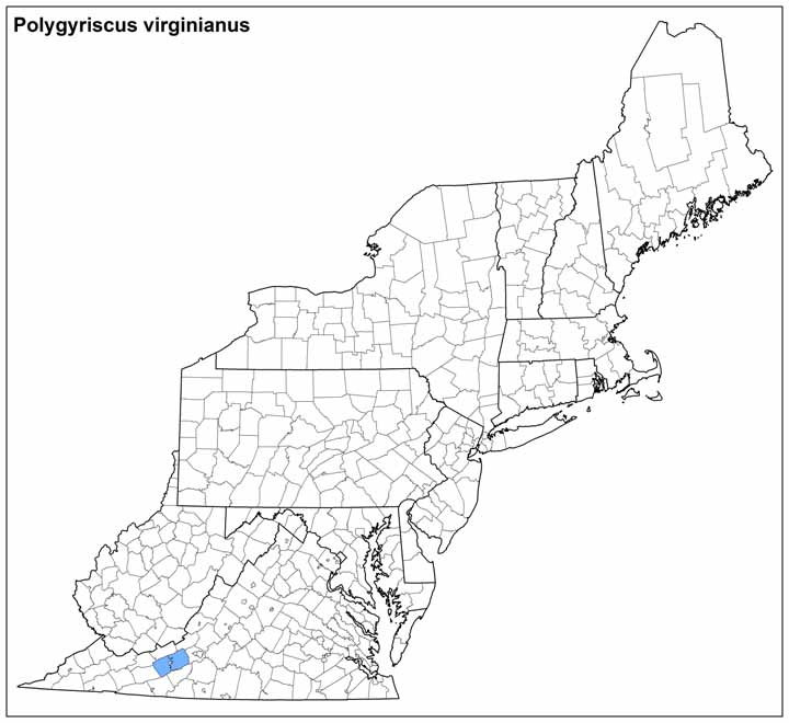 Polygyriscus virginianus Range Map